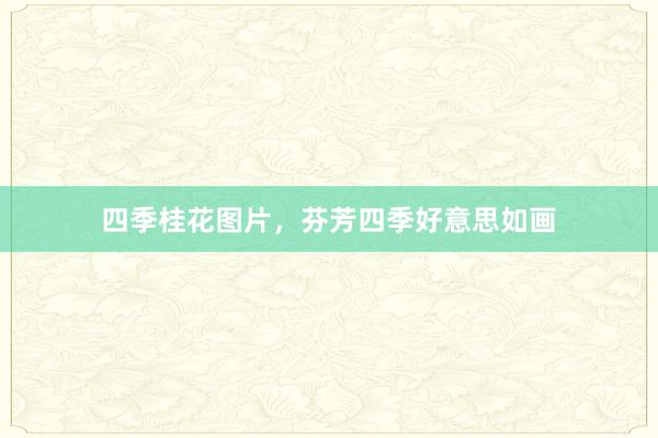 四季桂花图片，芬芳四季好意思如画