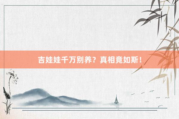 吉娃娃千万别养？真相竟如斯！