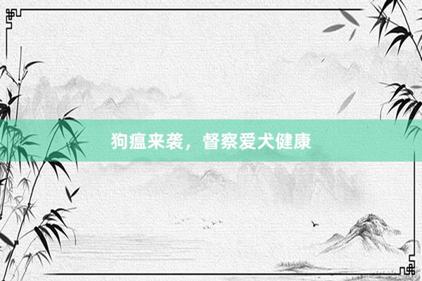 狗瘟来袭，督察爱犬健康
